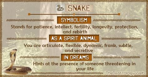 Meaningful Connotations: Snakes as Symbols in Dreams