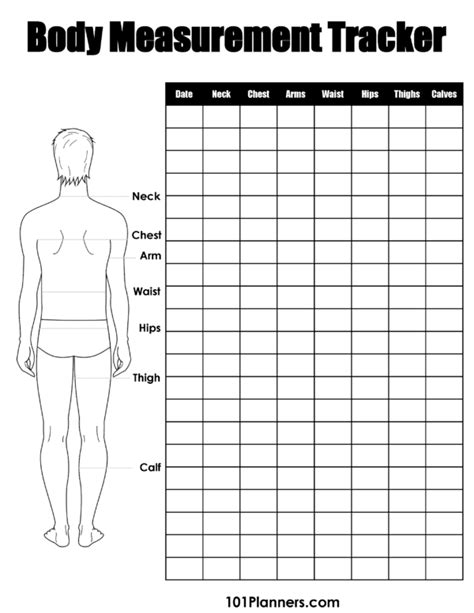 Measurements, Weight, and Figure