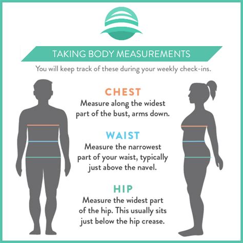 Measurements and Body Statistics Revealed