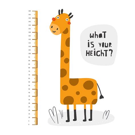 Measuring Up: How Tall is Our Feline Friend?