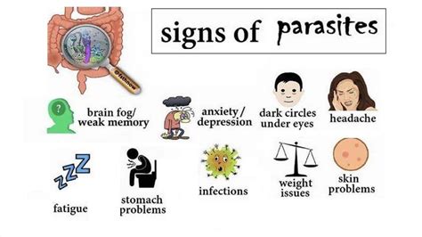 Medical Conditions Associated with Parasitic Infections in the Joint