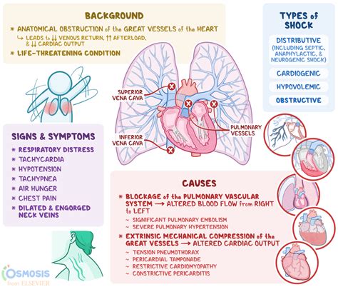 Medical Explanations: Potential Explanations and Symptoms