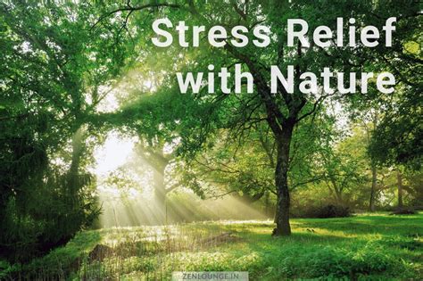 Mental Restoration: Relaxing on Green Fields for Stress Relief