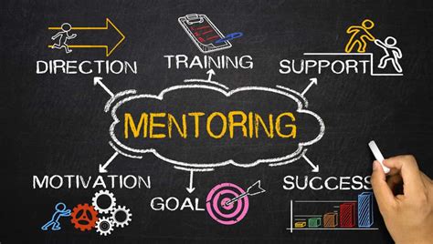 Mentors and Role Models: Gaining Insight from Accomplished Individuals