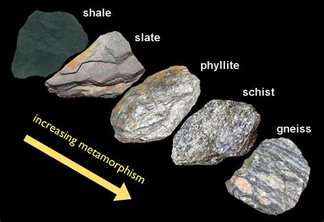 Metamorphic Symbolism: Figurative Depictions in Experiencing the Descent