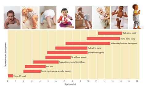 Milestones and achievements at each age