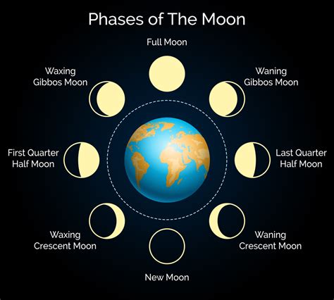 Mind and Moon: Exploring the Connection between Lunar Cycles and Dream Patterns