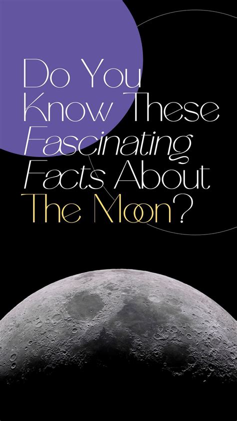 Modern-Day Fascination: The Popularity of Lunar Celestials