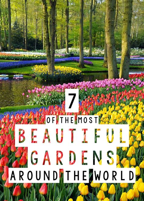 Moments of Bliss: Exploring the Serenity of Flower Gardens Around the World