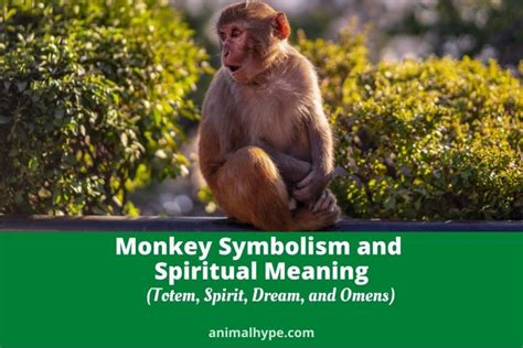 Monkey Symbolism in Different Cultures: Cultural Perspectives on Dreams