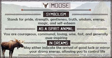 Moose in Indigenous Cultures: A Sacred Animal of Power