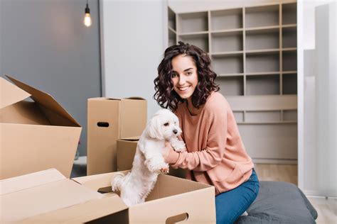 Moving with Furry Friends: Ensuring a Safe and Comfortable Transition