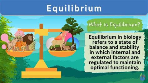 Musical Architects of Nature: Exploring the Interplay Between Birdsong and Ecological Equilibrium