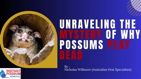 Mysteries of the White Possum: Unraveling its Genetic Anomalies