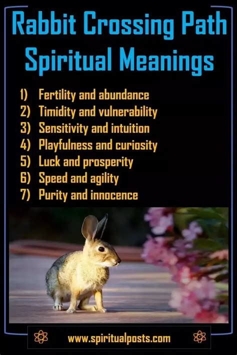 Mysterious Bunny Visions: Deciphering their Symbolism