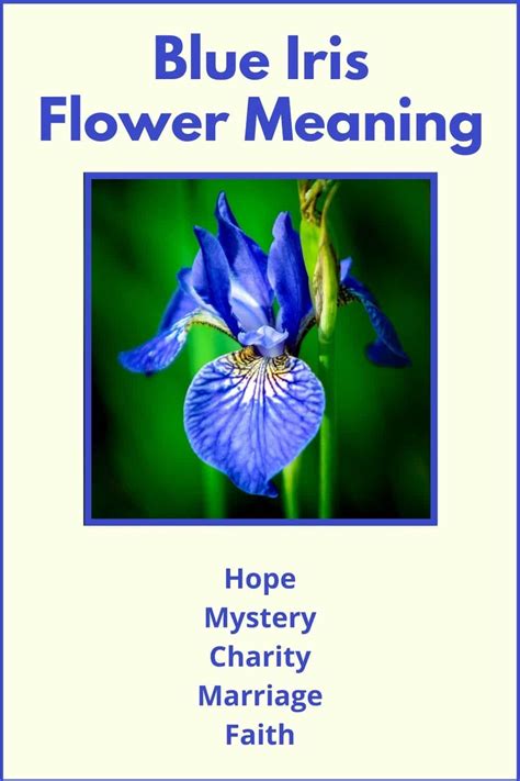 Mysterious Meanings and Symbolic Significance