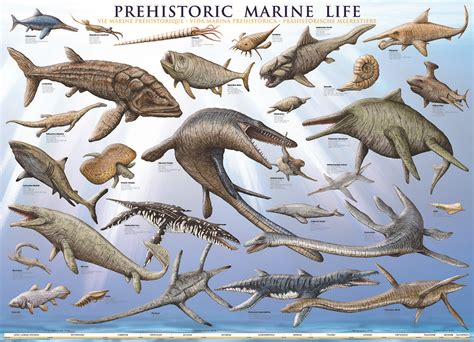 Mysterious Sea Creatures: Exploring the Enigmatic World of Marine Dinosaurs