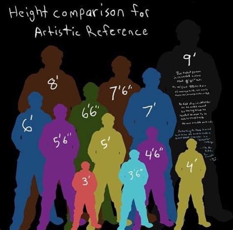 Myths Debunked and Height Comparison