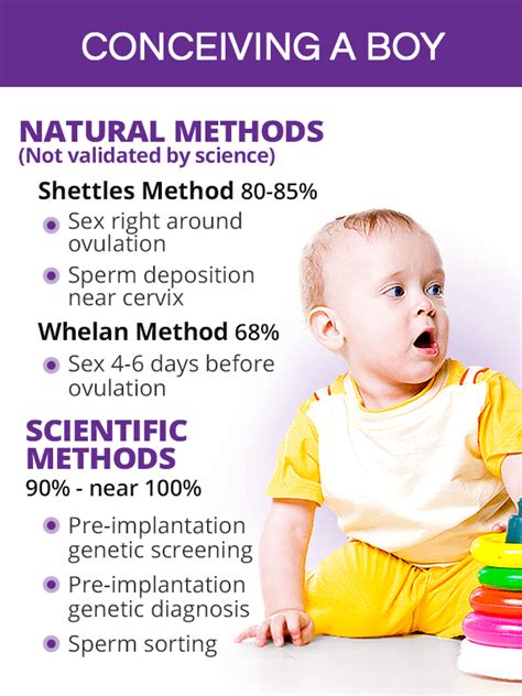 Natural Approaches to Increase the Likelihood of Conceiving a Male Offspring