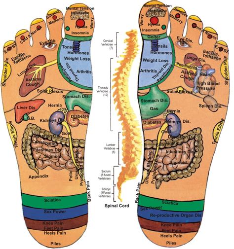 Natural Reflexology: Exploring the Foot's Pressure Points while Walking Unshod