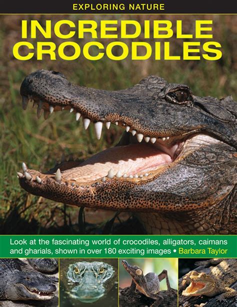 Nature's Astonishing Wonders: Exploring the World of Alligators