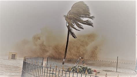 Nature's Fury: Exploring the Deeper Significance of a Mighty Downpour