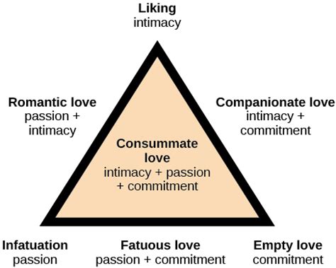 Navigating the Intricate Dynamics of a Passionate Triangle