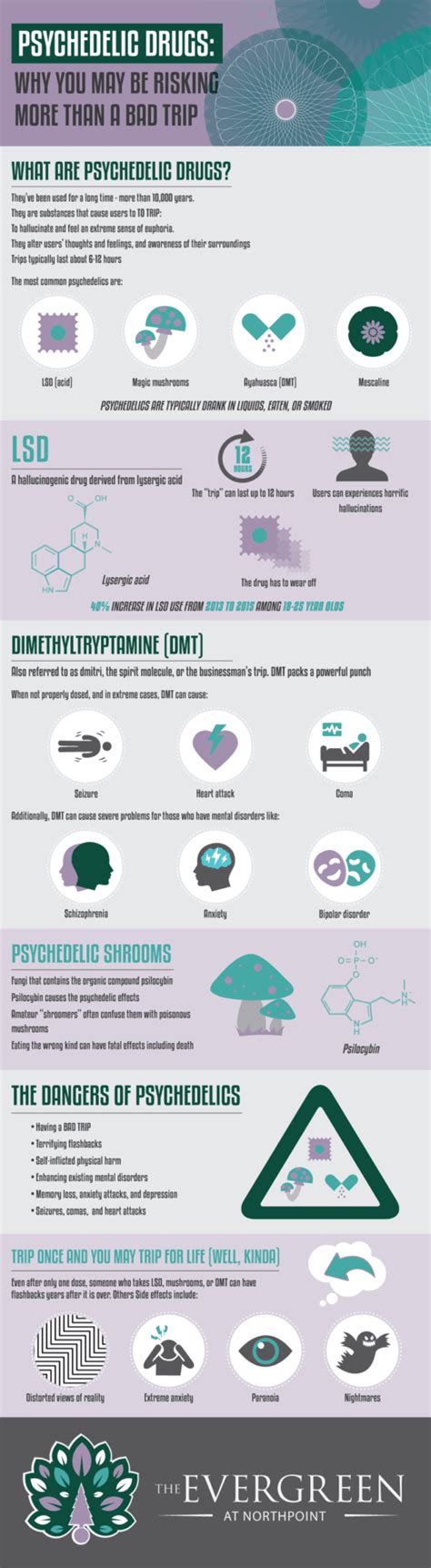 Navigating the Risks and Precautions of Exploring Psychedelic Substances