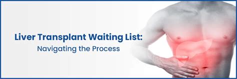 Navigating the Waiting List: Enhancing Your Odds of Receiving a Transplanted Liver