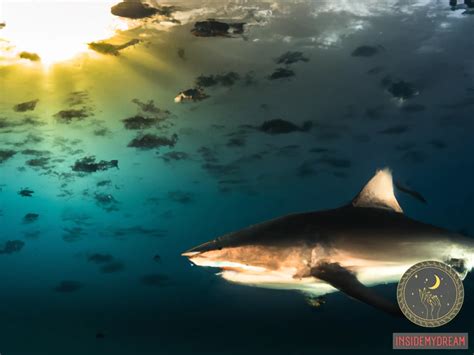 Navigating the Waters: Tips for Interpreting and Harnessing the Power of Tiger Shark Dreams