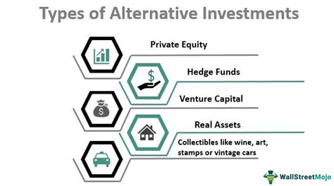 Net Worth: Altynai's Assets and Investments