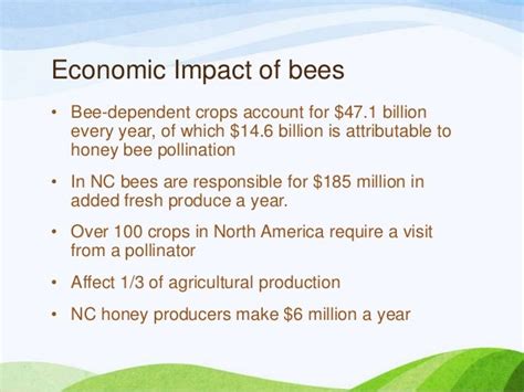 Net Worth: Economic Value of Honey Bees