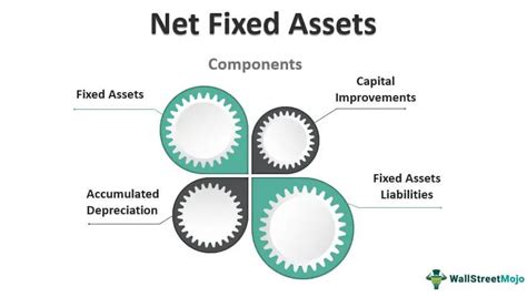 Net Worth and Assets Accumulated