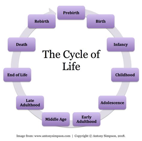 New Beginnings and Life's Cycles: The Symbolic Significance of an Infant in Dreams