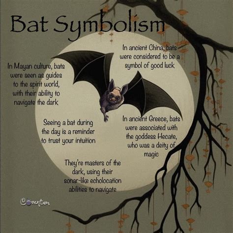 Night Creatures: Discovering the Meaning of Bats in Diverse Cultures