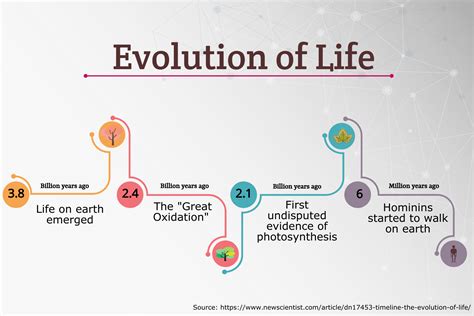 Number of years lived, Timeline of Life