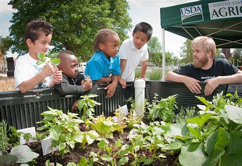 Nurturing Food Education: The Role of Farmers Markets in Teaching Kids about Nutritious Food