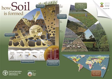 Nurturing Life: The Vital Role of Soil in Agriculture