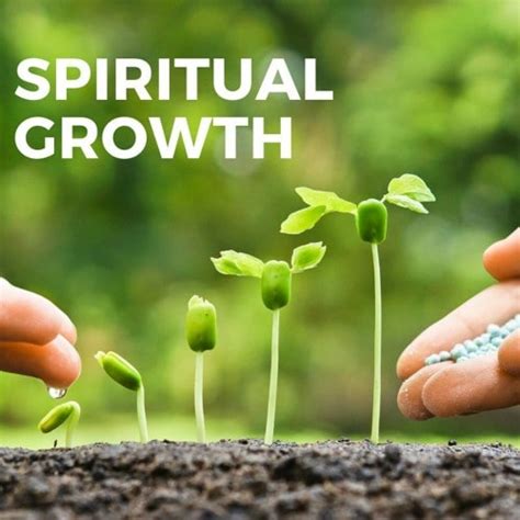 Nurturing Your Spiritual Growth