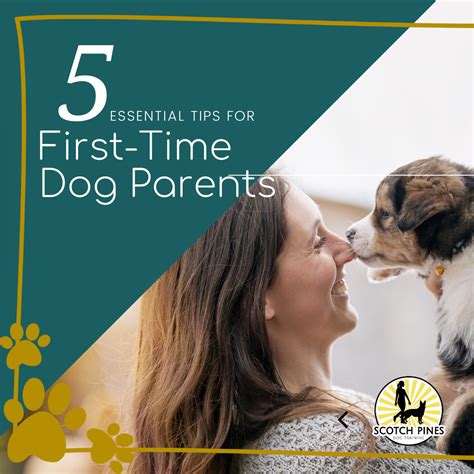 Nurturing a Lifelong Bond with Your Canine Companion