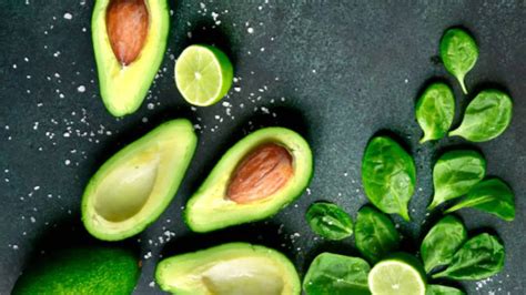 Nurturing and Caring for Your Green Gold: Maintaining the Health of Your Precious Avocado Sapling