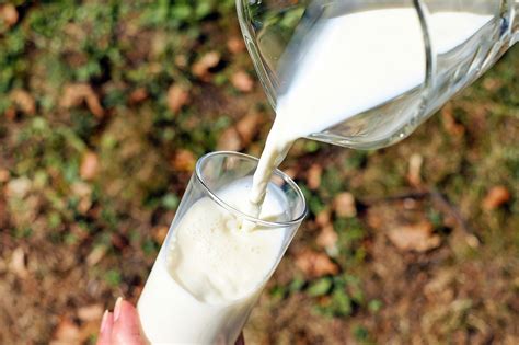 Nurturing and Nourishment: The Symbolic Power of Milk