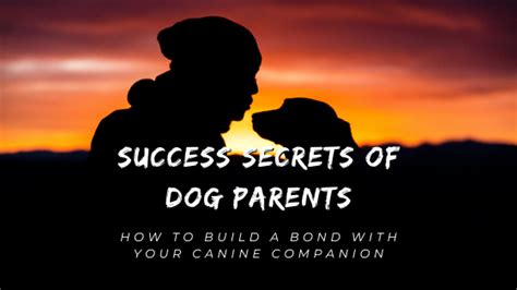 Nurturing the Bond: Building Trust and Love with Your Canine Companion