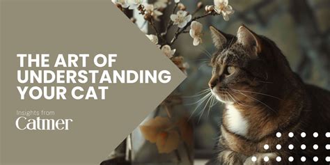 Nurturing the Soul: How Felines Satisfy Our Emotional Desires