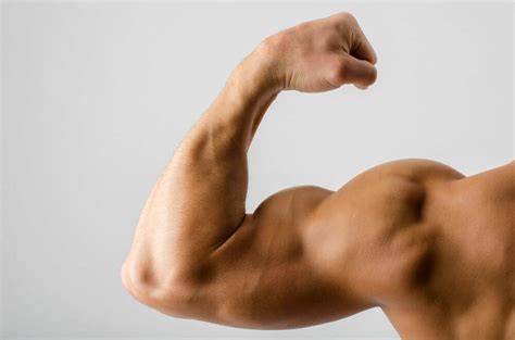 Nutrition for Arm Muscle Growth