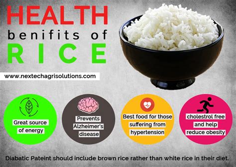 Nutritional Benefits: Why Rice and Fish Make a Healthy Meal