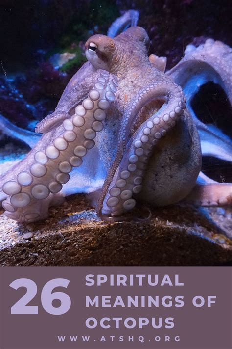 Octopuses as Symbols of Adaptability: Lessons to Learn from these Remarkable Creatures