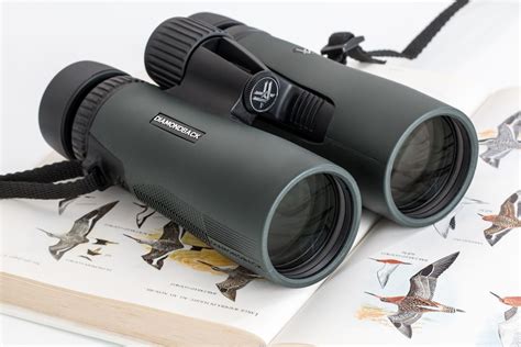 Optics Essentials: Selecting the Ideal Binoculars for Thrilling Birding Excursions