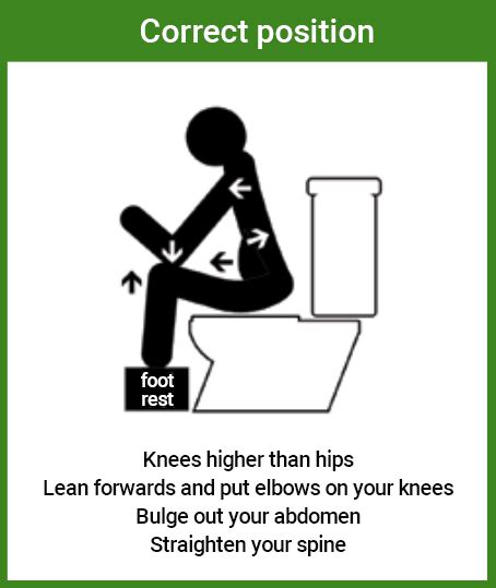 Optimal Toilet Positioning Techniques to Facilitate Efficient Bowel Movements