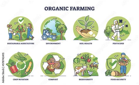 Organic Farming: The Influence of Contented Bovines on Agricultural Sustainability